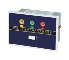 DXN-Q带电显示器